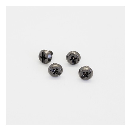 Shoei replacement screws...