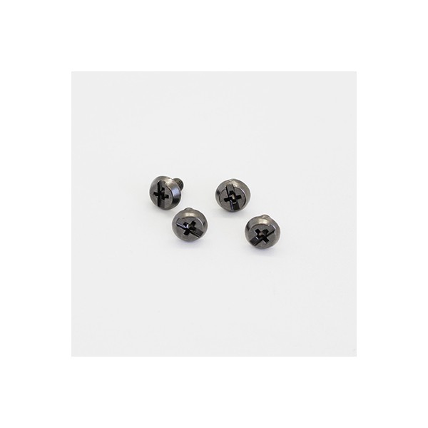 Shoei replacement screws for Glamster...