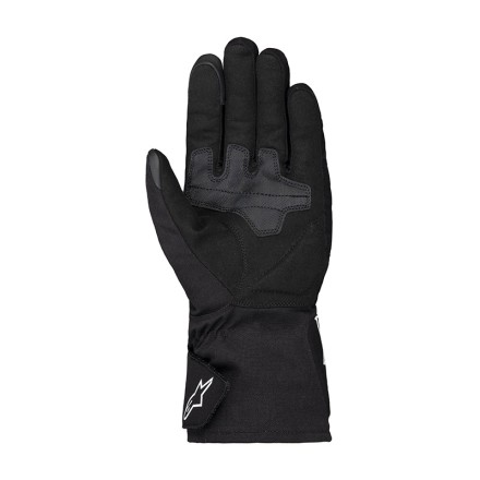 Alpinestars Men's Wt-1... 2